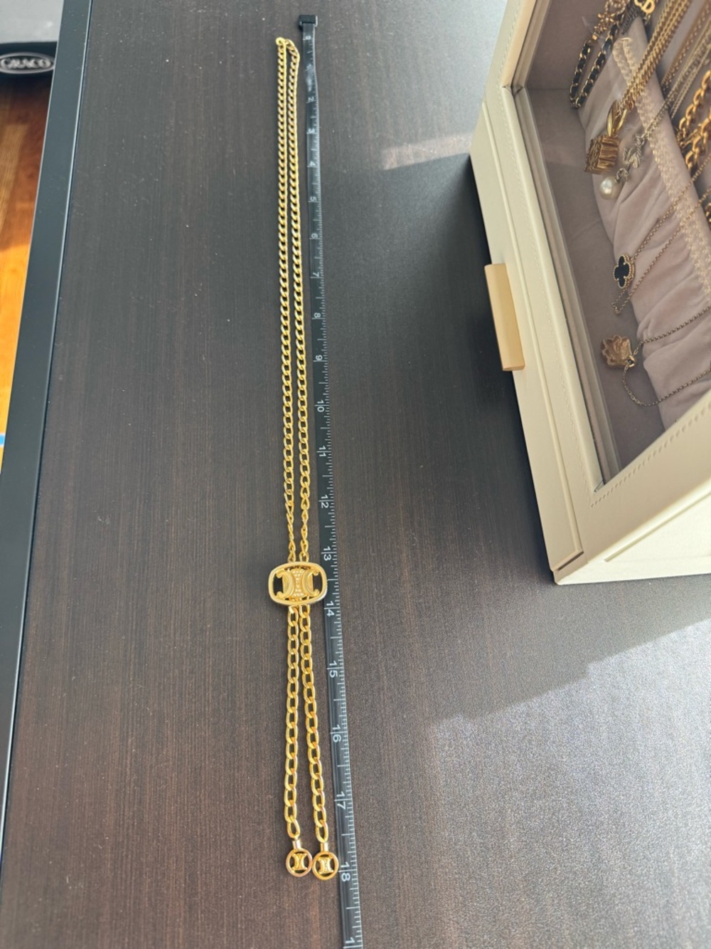 Celine Vintage Triomphe Long Chain Necklace - Picture 8 of 8